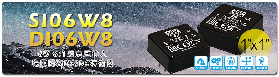 SI06W8/DI06W8 系列：6W 1